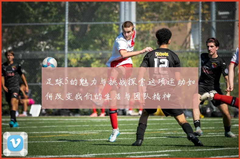 足球5的魅力与挑战探索这项运动如何改变我们的生活与团队精神