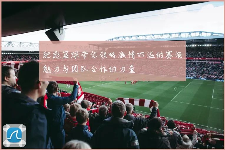 肥彪篮球带你领略激情四溢的赛场魅力与团队合作的力量