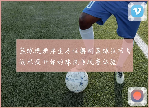 篮球视频库全方位解析篮球技巧与战术提升你的球技与观赛体验